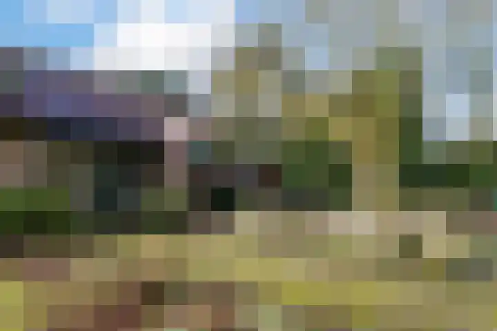 Halderheiweg 3 Boxtel thumbnail 8