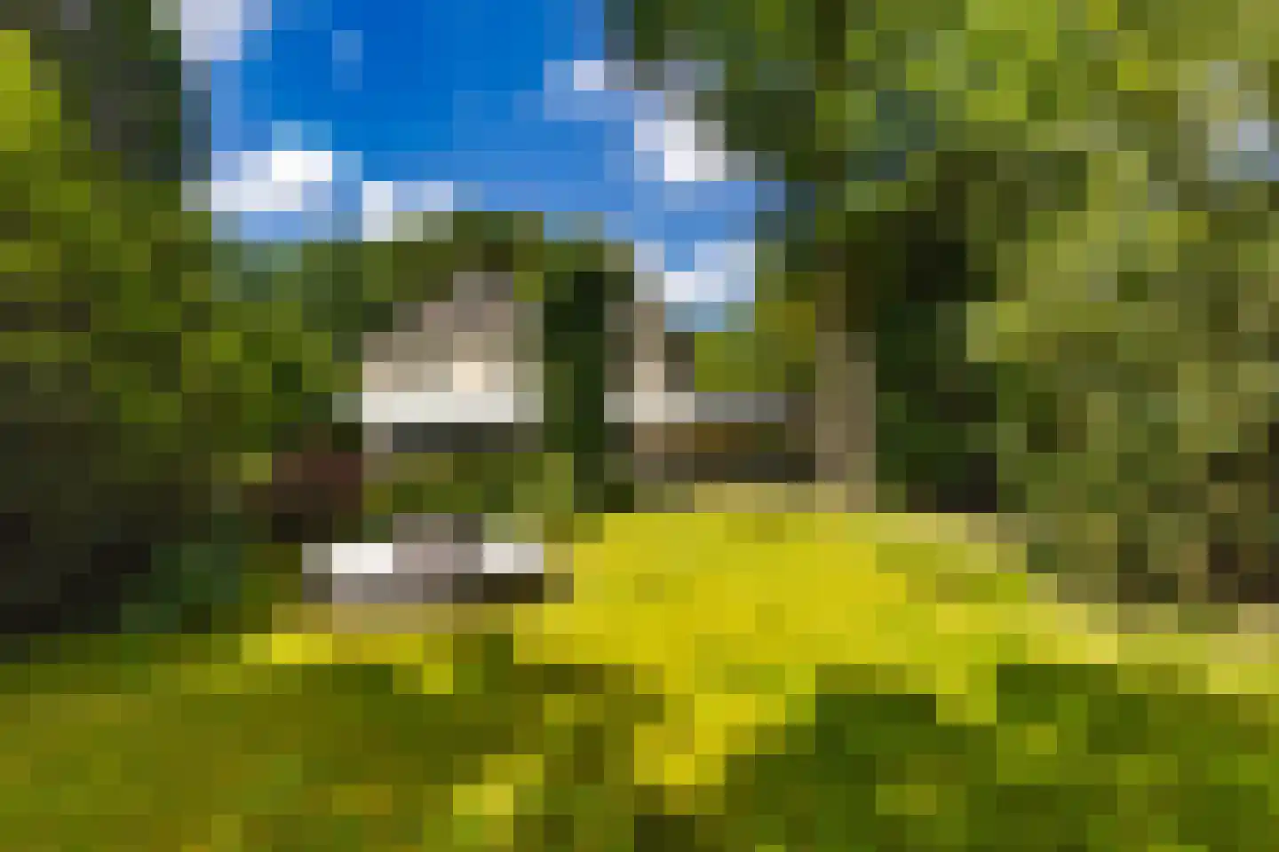 Halderheiweg 7 Boxtel thumbnail 35