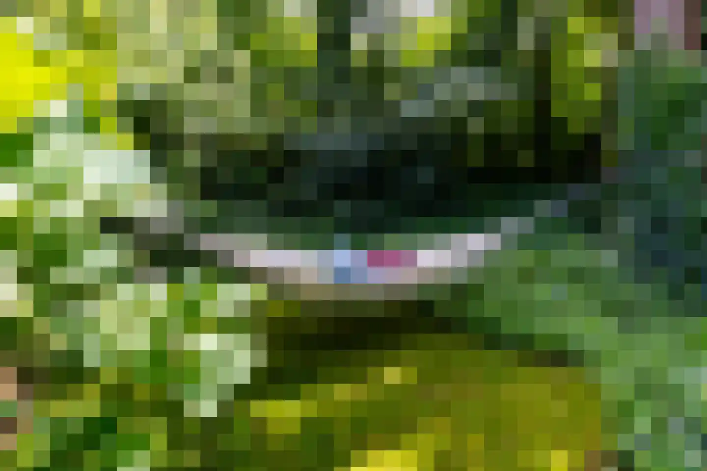 Halderheiweg 7 Boxtel thumbnail 36