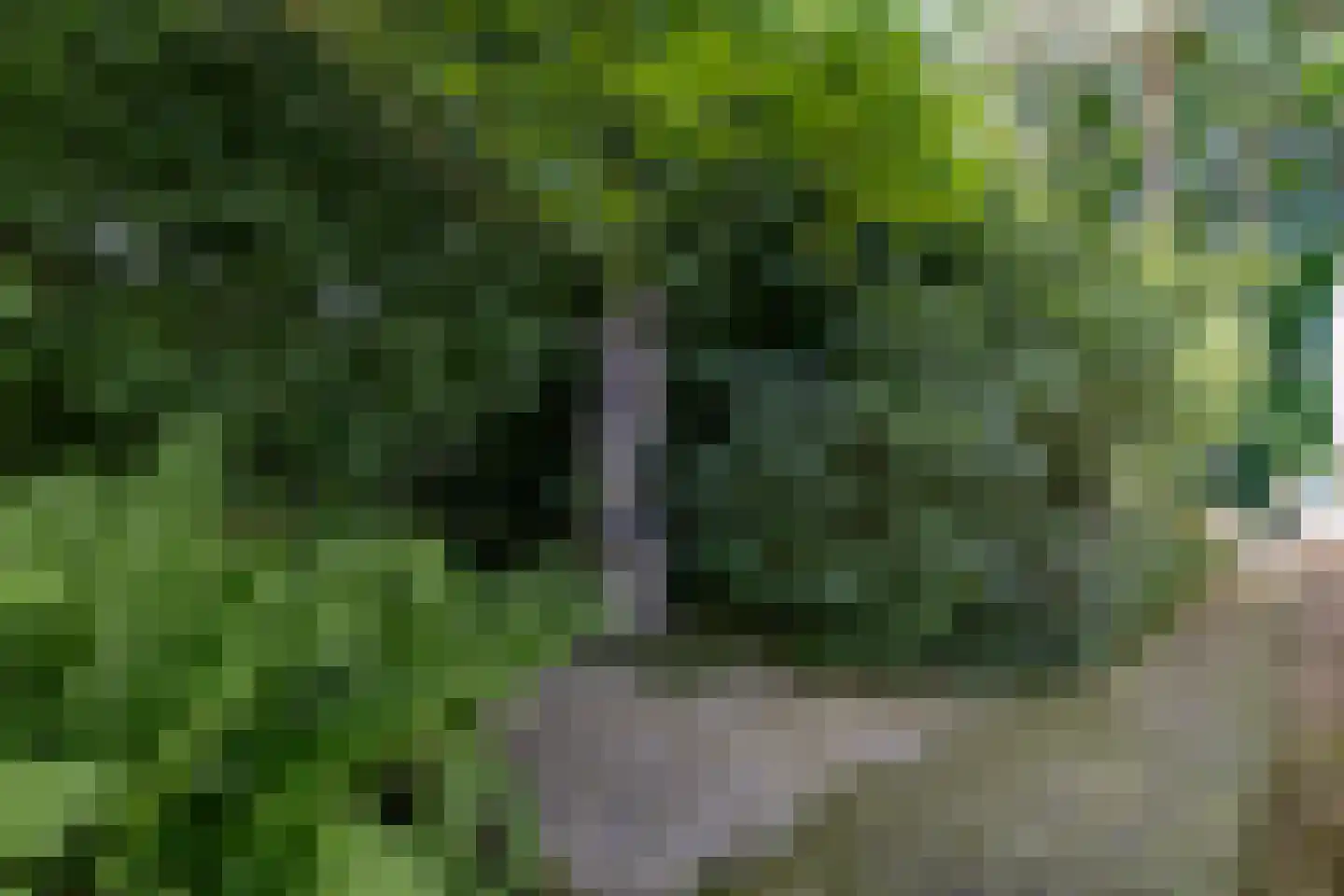 Halderheiweg 7 Boxtel thumbnail 37
