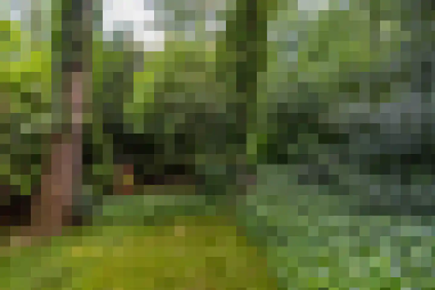 Halderheiweg 7 Boxtel thumbnail 38