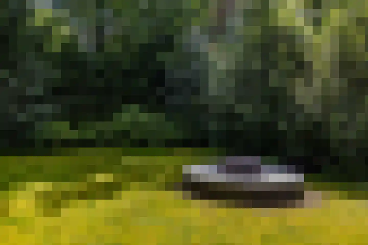 Halderheiweg 7 Boxtel thumbnail 41