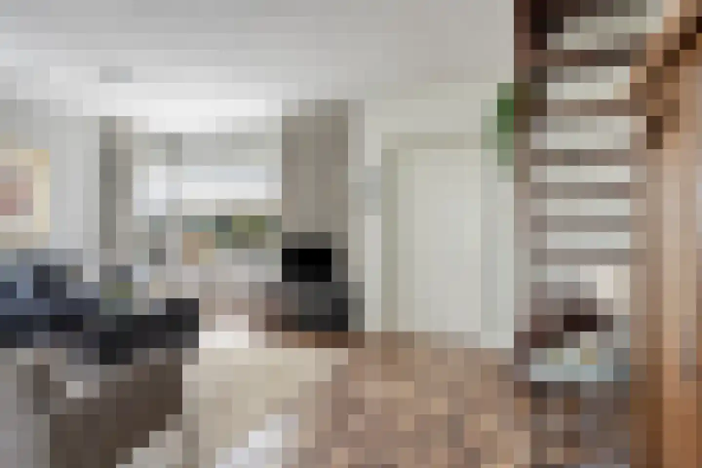 Halderstraat 11 Sittard thumbnail 10