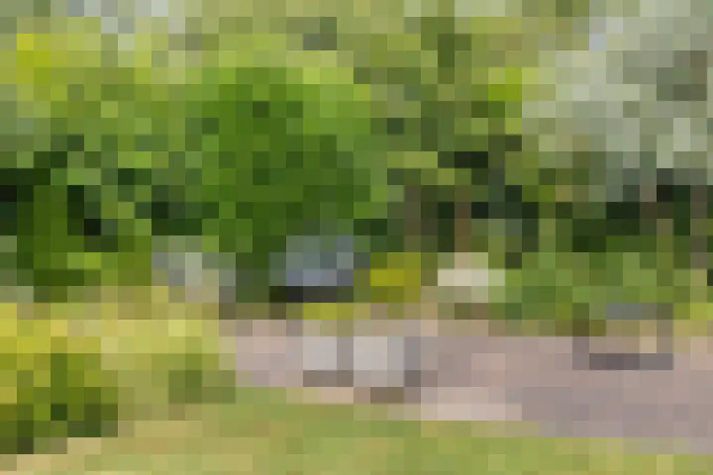 Halderstraat 11 Sittard thumbnail 37