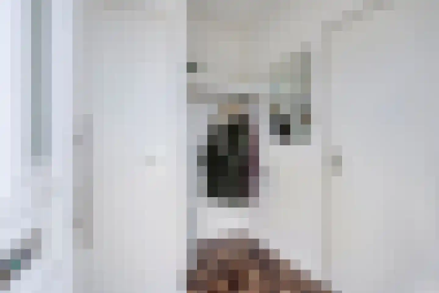 Halderstraat 11 Sittard thumbnail 7
