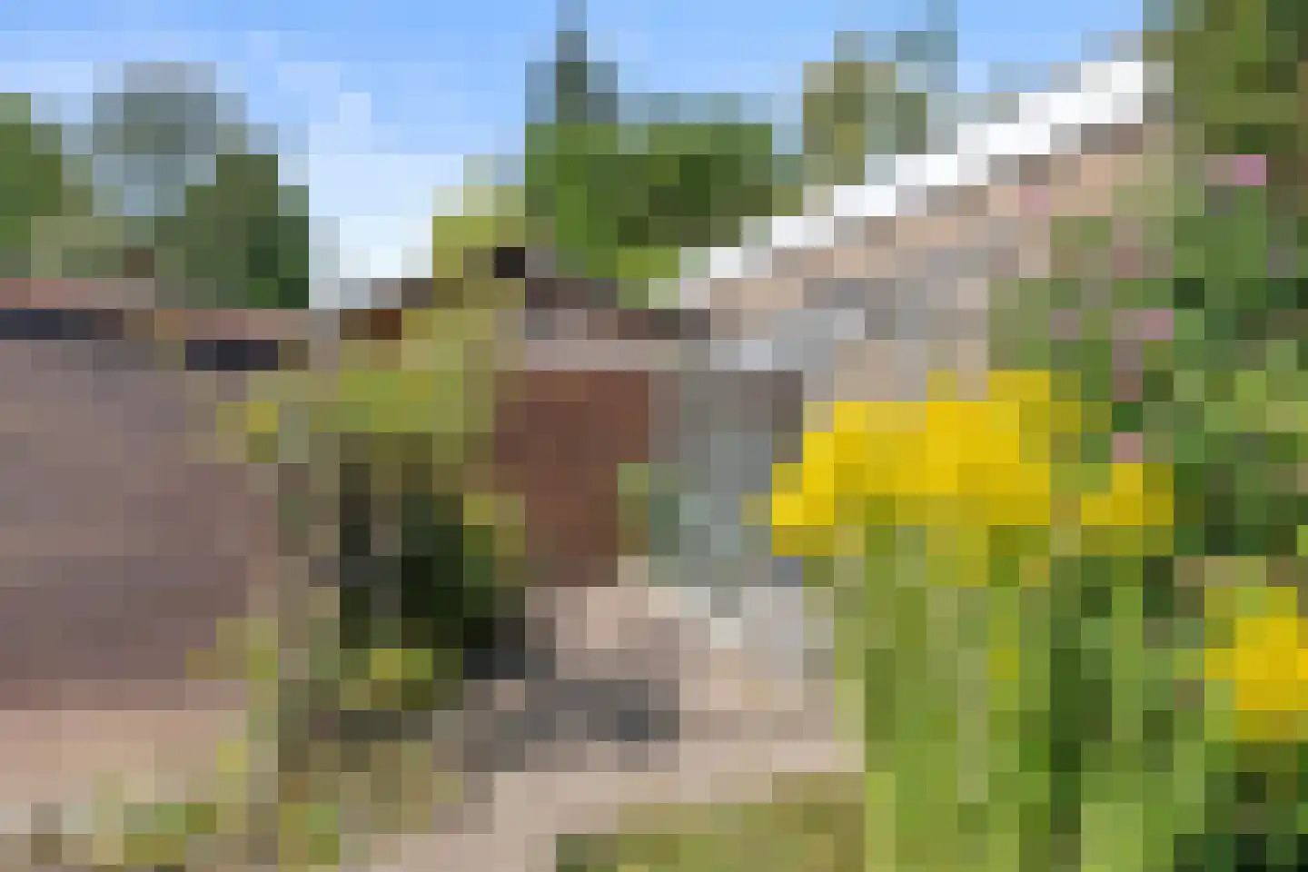Halderweg 12 Bennekom thumbnail 15