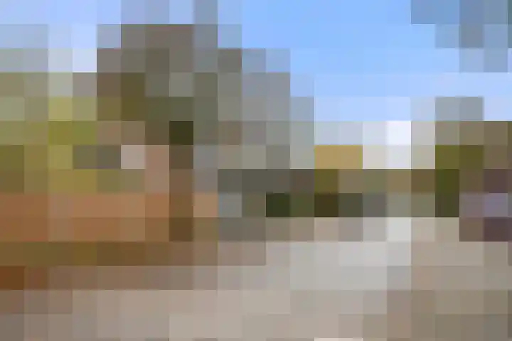Halderweg 51 Bennekom thumbnail 6