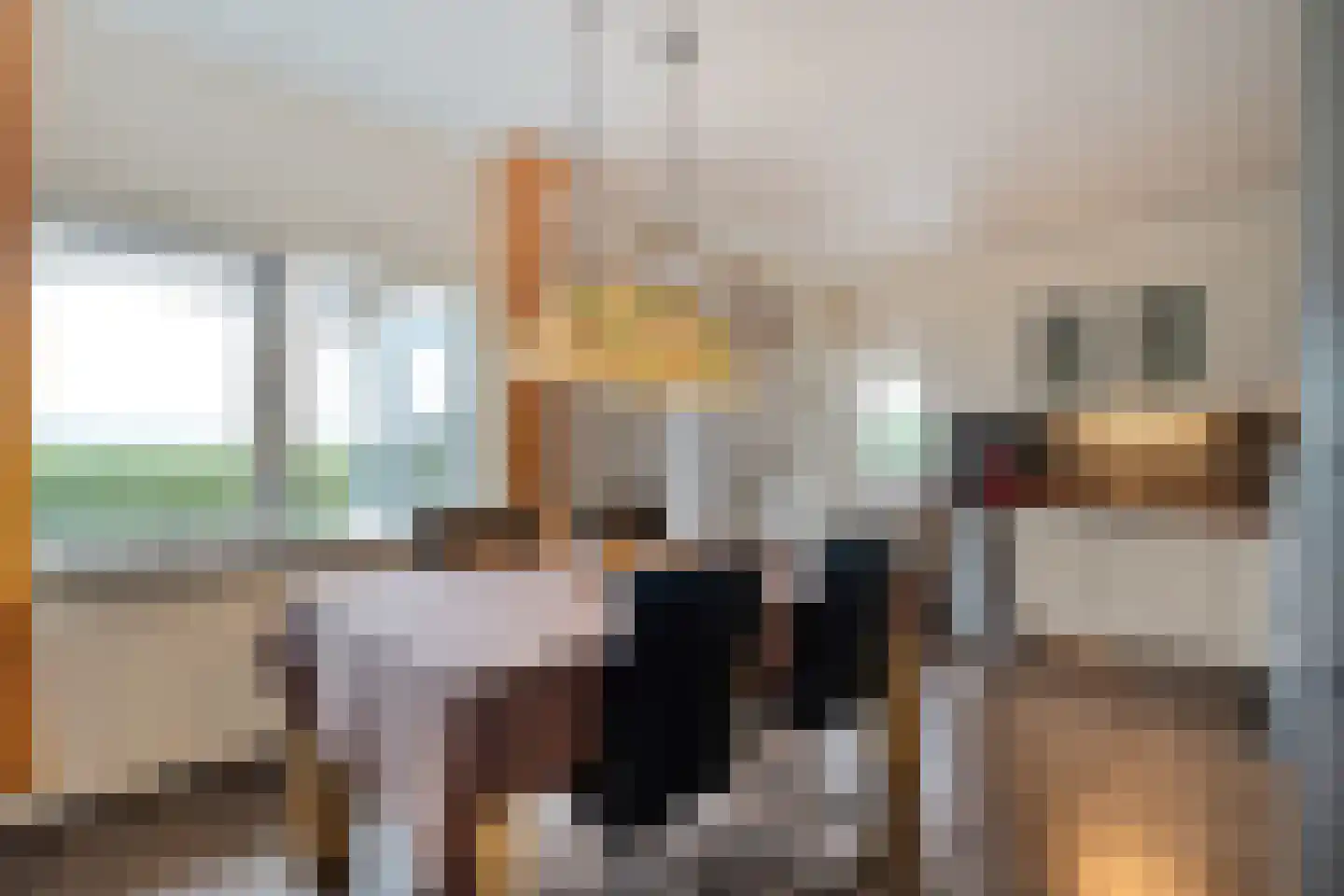 Halerweg 13 B Zwiggelte thumbnail 20