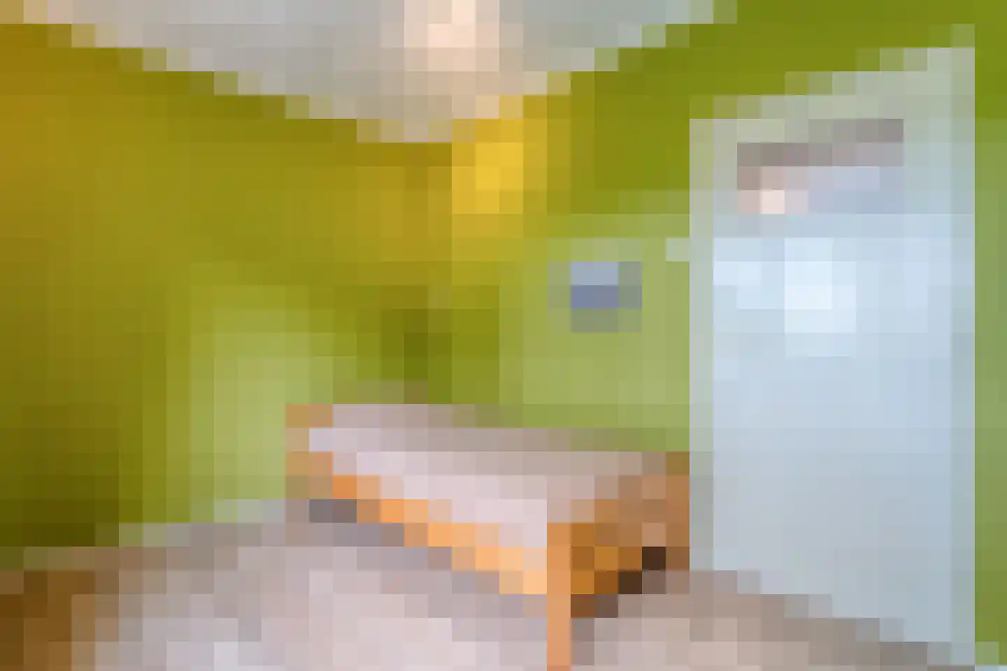 Halerweg 13 B Zwiggelte thumbnail 28
