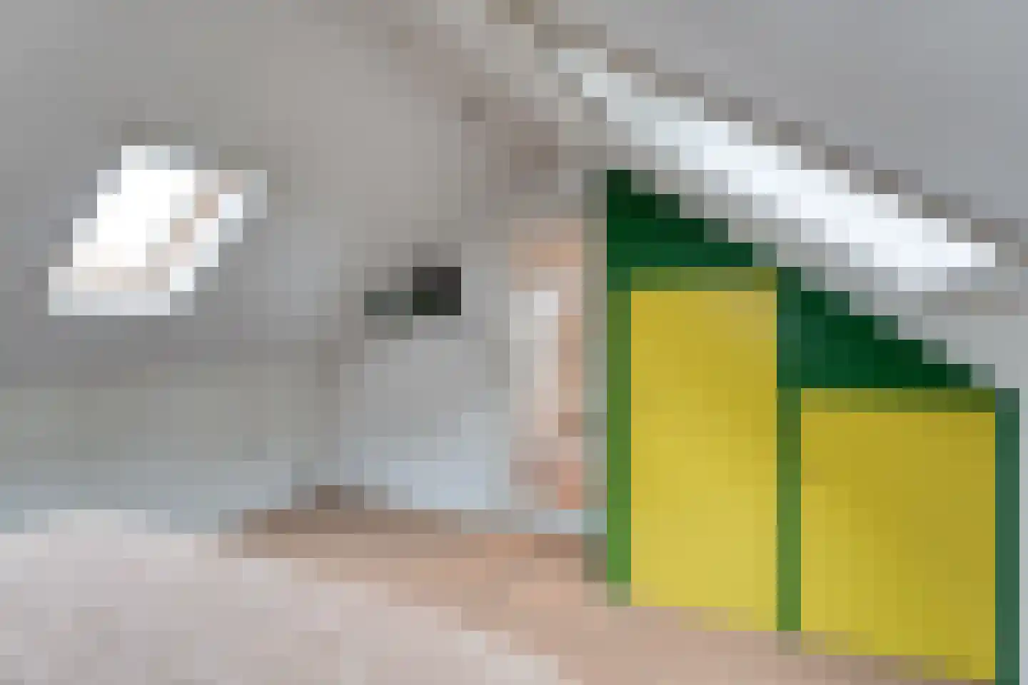 Halerweg 13 B Zwiggelte thumbnail 38