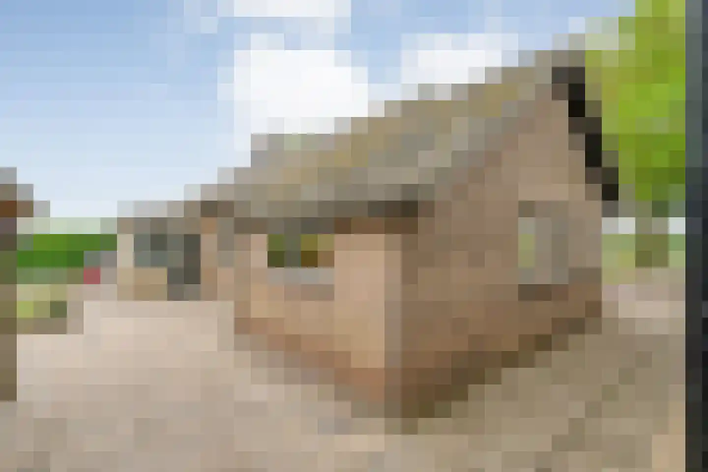 Halerweg 13 B Zwiggelte thumbnail 53