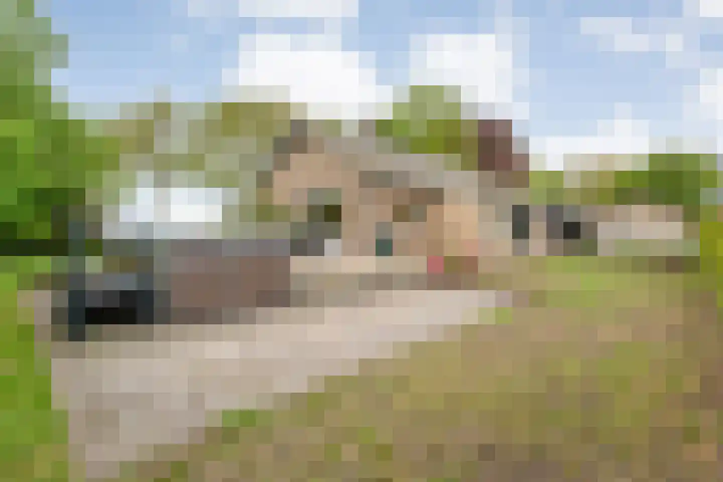 Halerweg 13 B Zwiggelte thumbnail 63