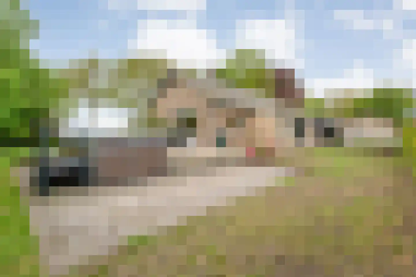 Halerweg 13 B Zwiggelte thumbnail 63