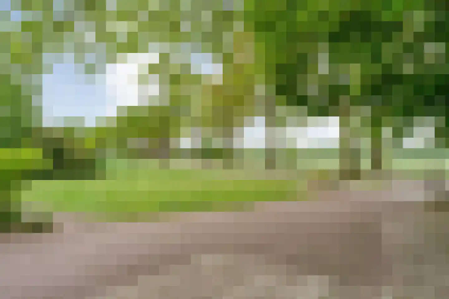 Halerweg 13 B Zwiggelte thumbnail 66