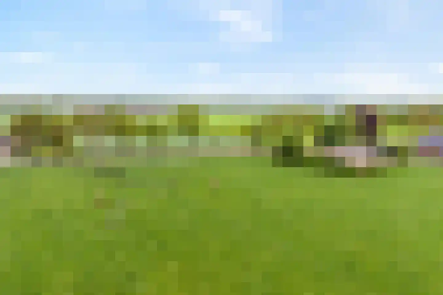 Halerweg 13 B Zwiggelte thumbnail 69