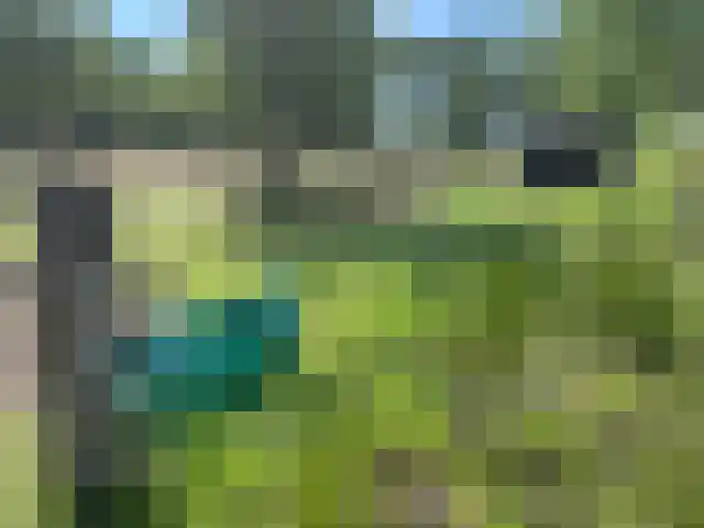 Halerweg 13 B Zwiggelte thumbnail 76