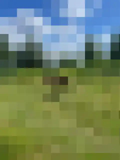 Halerweg 13 B Zwiggelte thumbnail 79