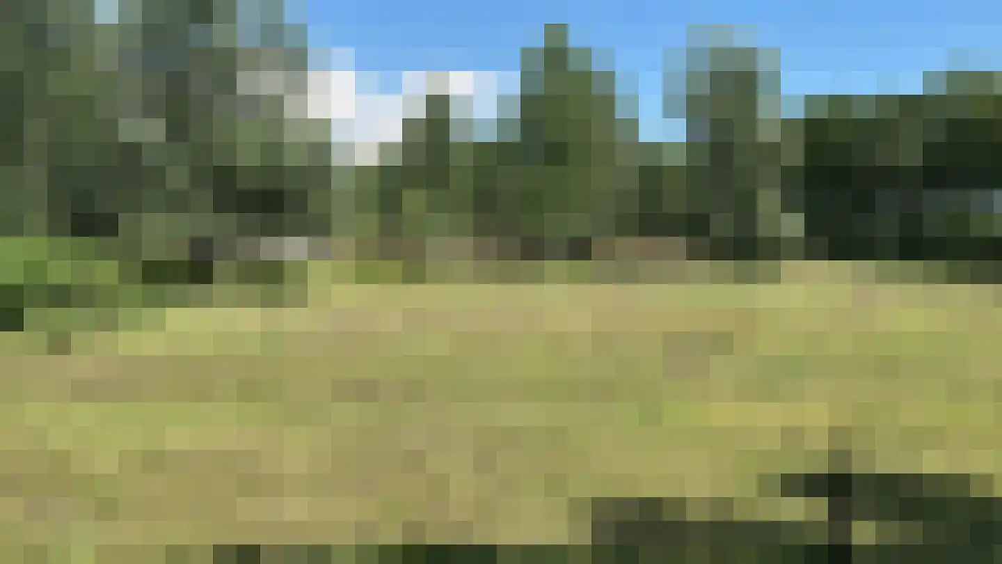 Halerweg 13 B Zwiggelte thumbnail 80