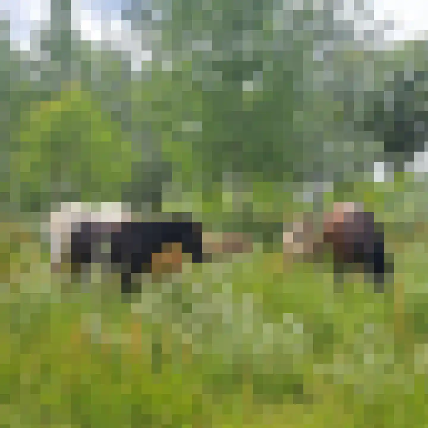 Halerweg 13 B Zwiggelte thumbnail 81