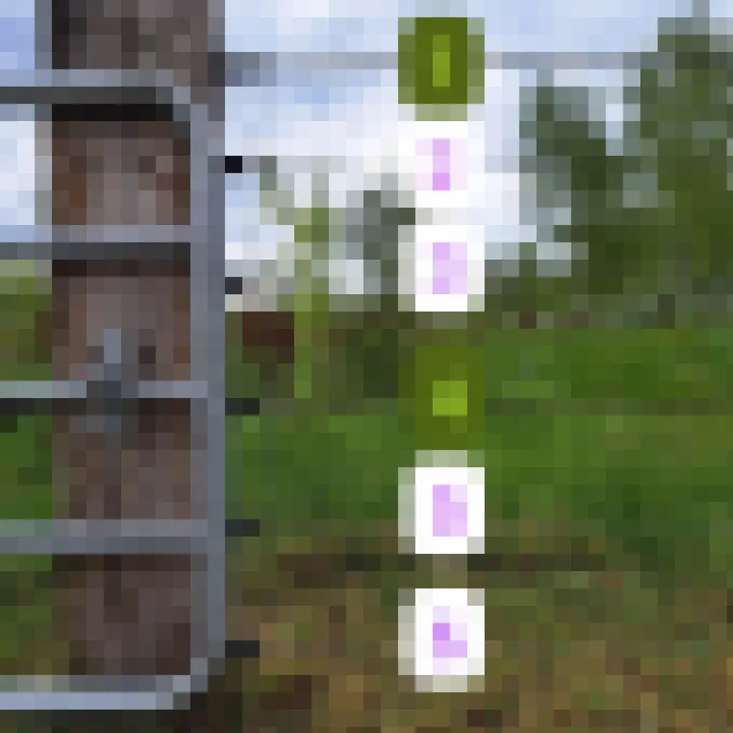 Halerweg 13 B Zwiggelte thumbnail 82