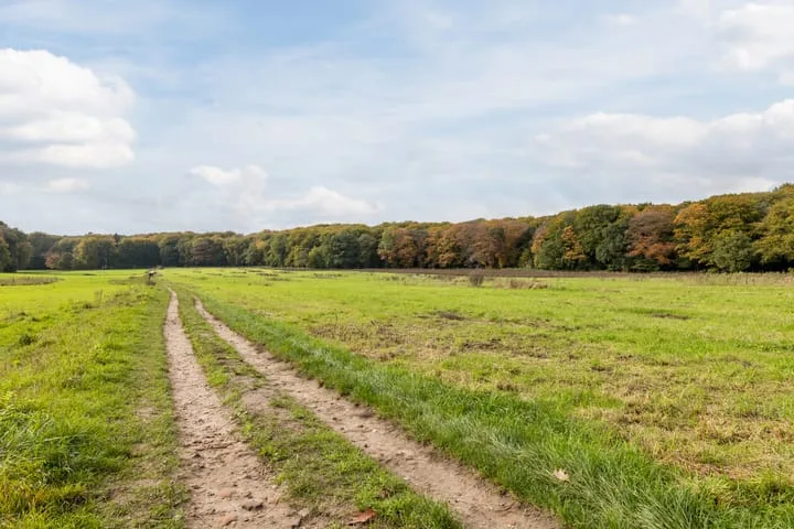 Halévystraat 3 3 Arnhem thumbnail 25