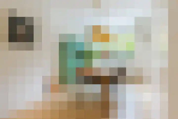 Halévystraat 3 3 Arnhem thumbnail 8