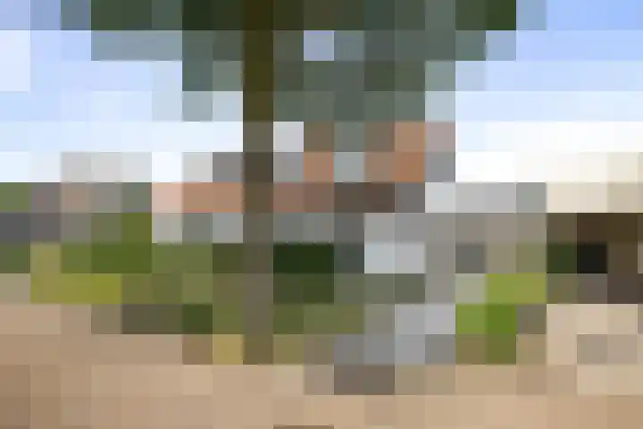 Halewechstraat 4 in Raalte