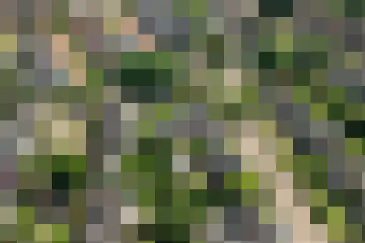 Halewechstraat 4 Raalte thumbnail 11