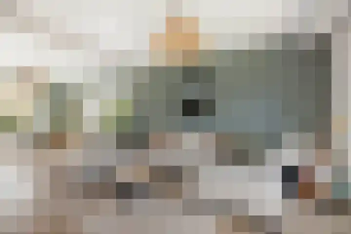 Halewechstraat 4 Raalte thumbnail 15
