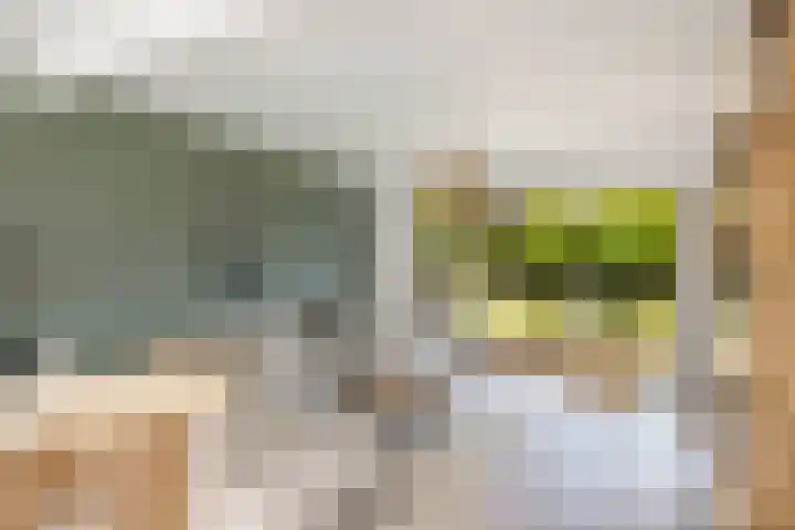 Halewechstraat 4 Raalte thumbnail 19
