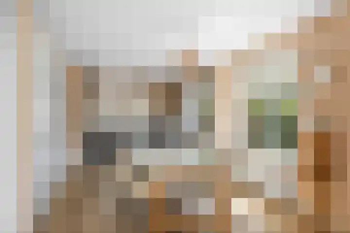 Halewechstraat 4 Raalte thumbnail 24