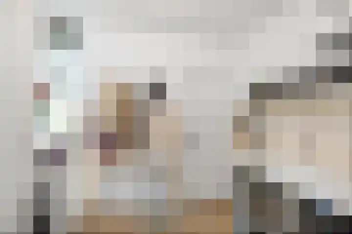 Halewechstraat 4 Raalte thumbnail 31