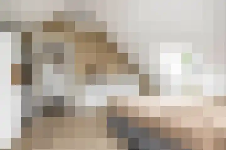 Halewechstraat 4 Raalte thumbnail 35