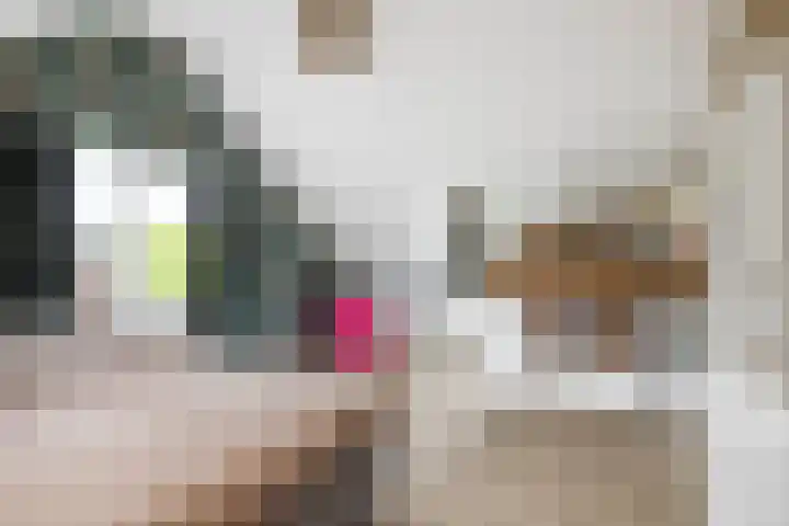 Halewechstraat 4 Raalte thumbnail 37