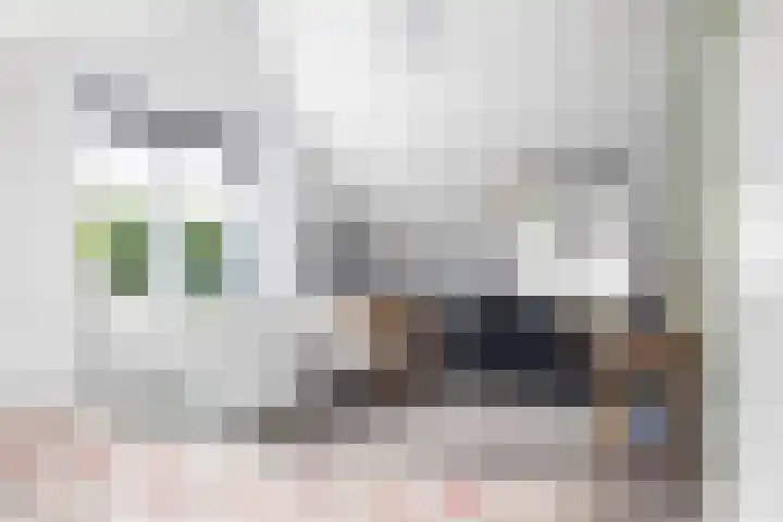 Halewechstraat 4 Raalte thumbnail 40