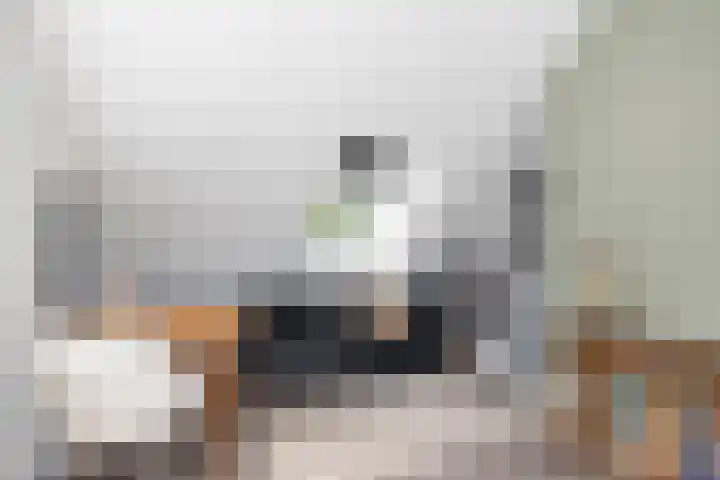 Halewechstraat 4 Raalte thumbnail 41