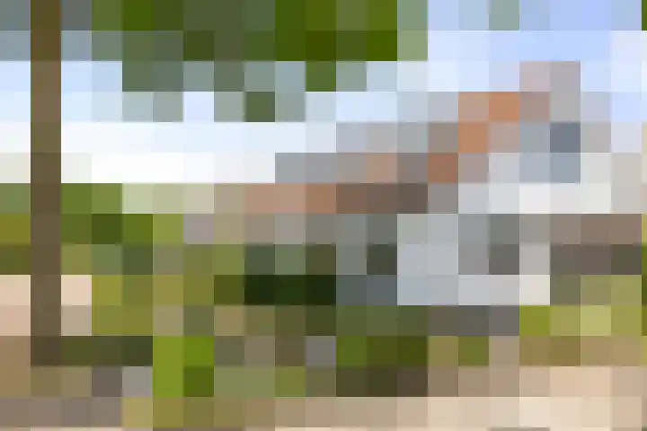 Halewechstraat 4 Raalte thumbnail 5