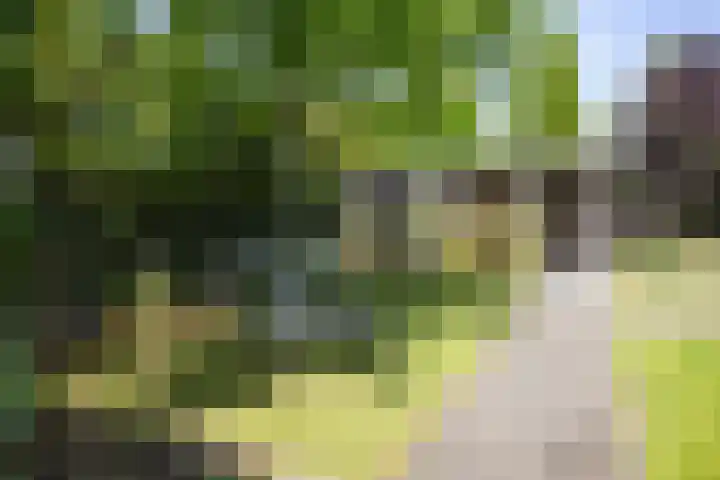 Halewechstraat 4 Raalte thumbnail 52
