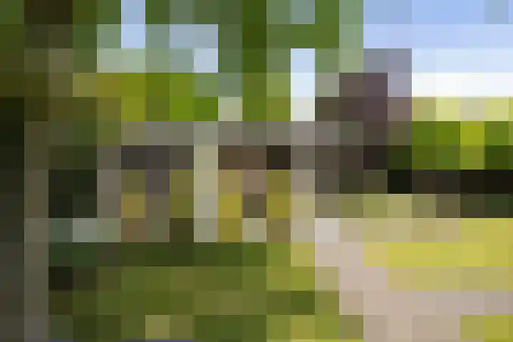 Halewechstraat 4 Raalte thumbnail 54