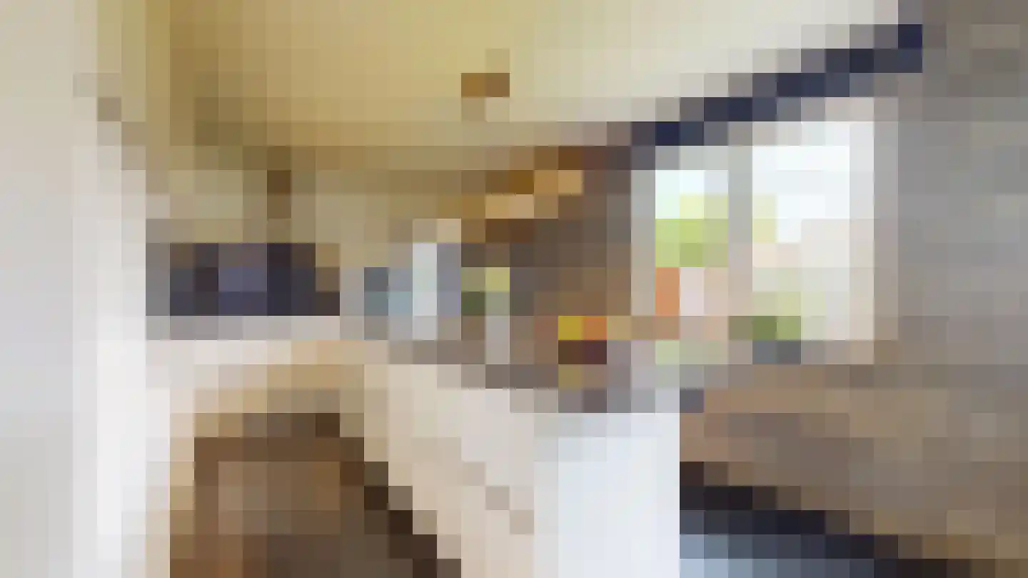 Halewijnstraat 13 Geleen thumbnail 16