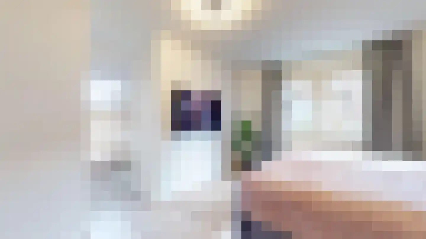 Halewijnstraat 13 Geleen thumbnail 30