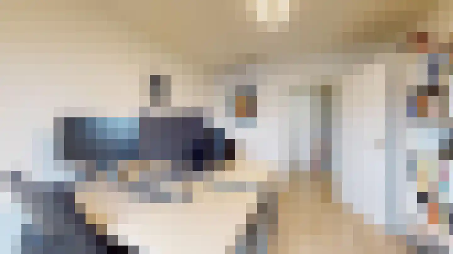 Halewijnstraat 13 Geleen thumbnail 36