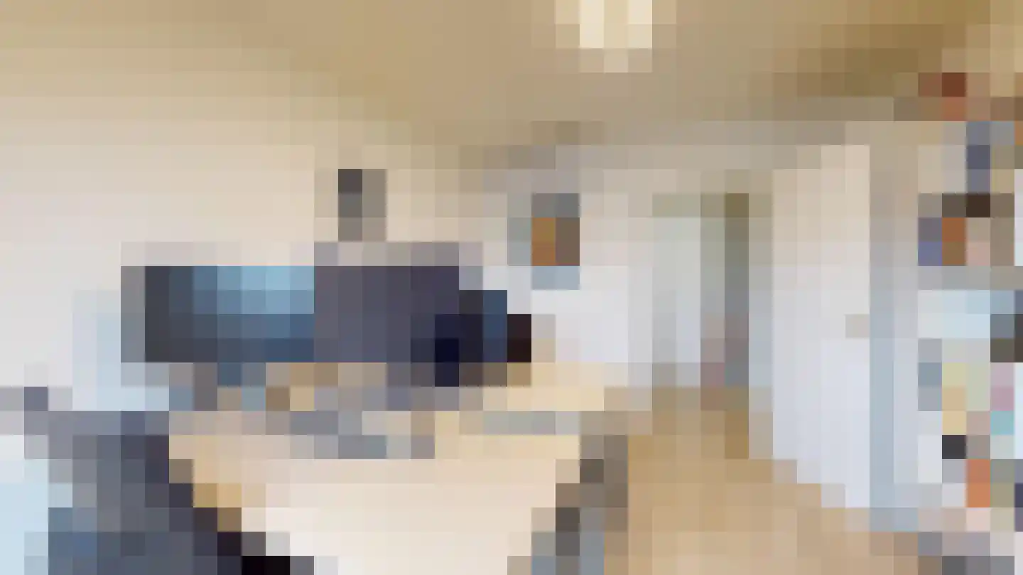 Halewijnstraat 13 Geleen thumbnail 37