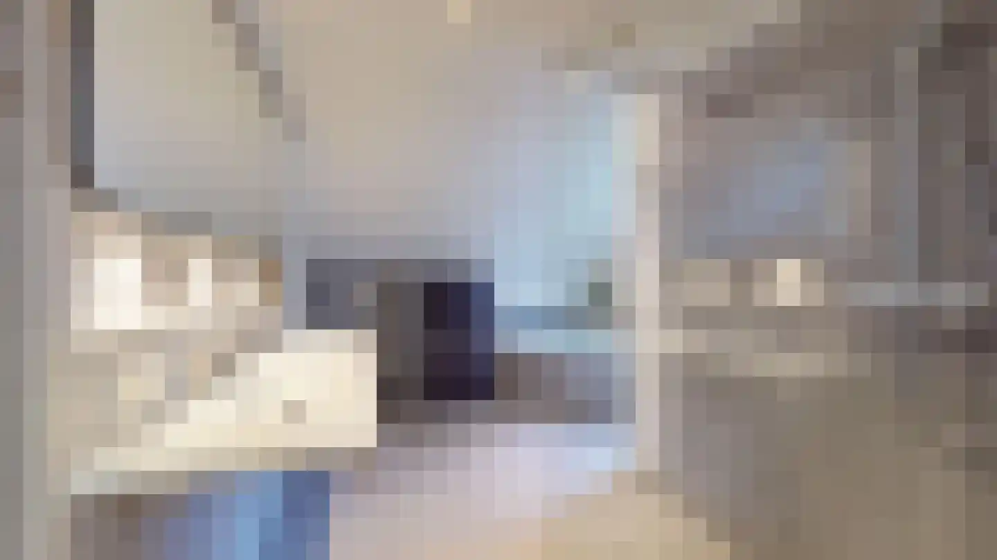 Halewijnstraat 13 Geleen thumbnail 41