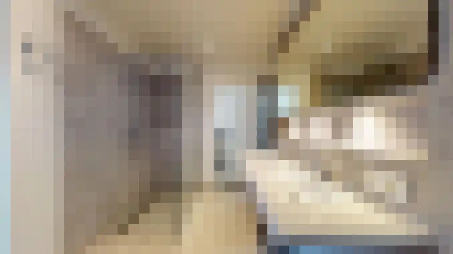Halewijnstraat 13 Geleen thumbnail 43