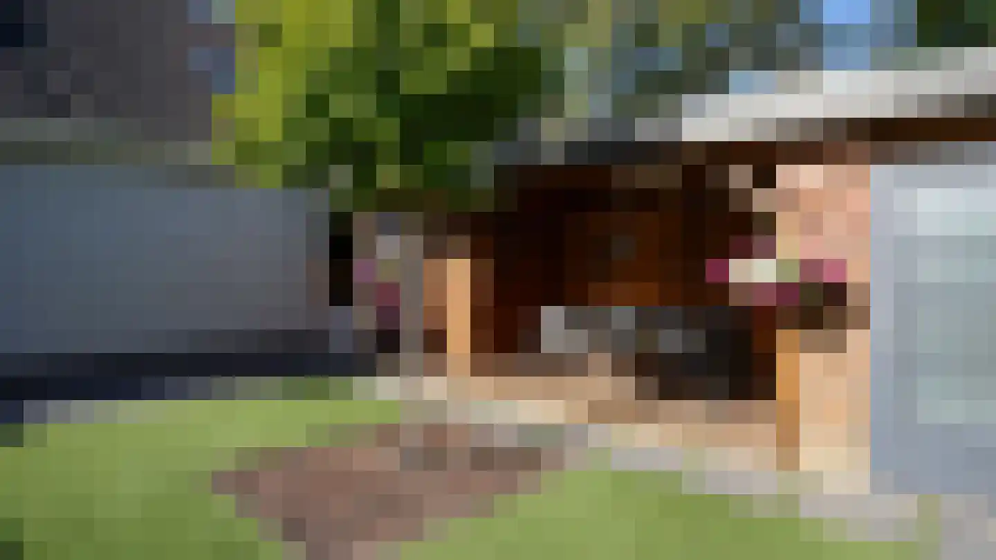 Halewijnstraat 13 Geleen thumbnail 55