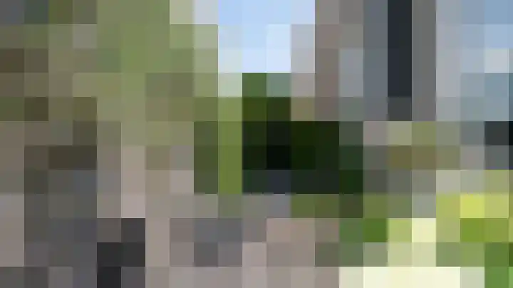 Halewijnstraat 16 Geleen thumbnail 57