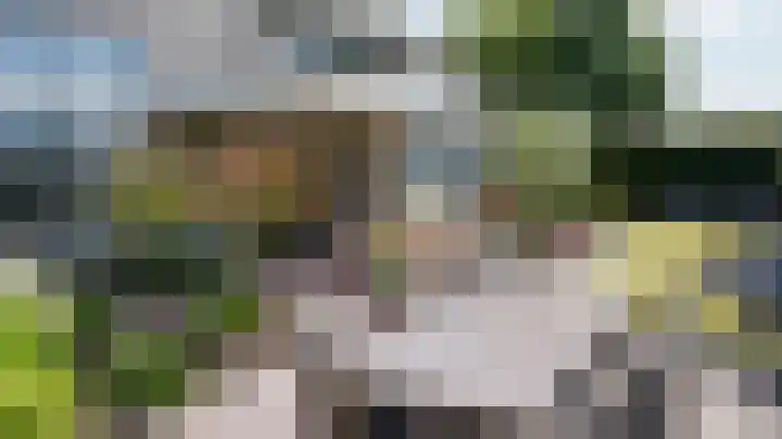 Halewijnstraat 16 Geleen thumbnail 59