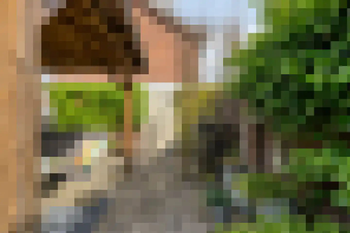Halewijnstraat 34 Etten-Leur thumbnail 31