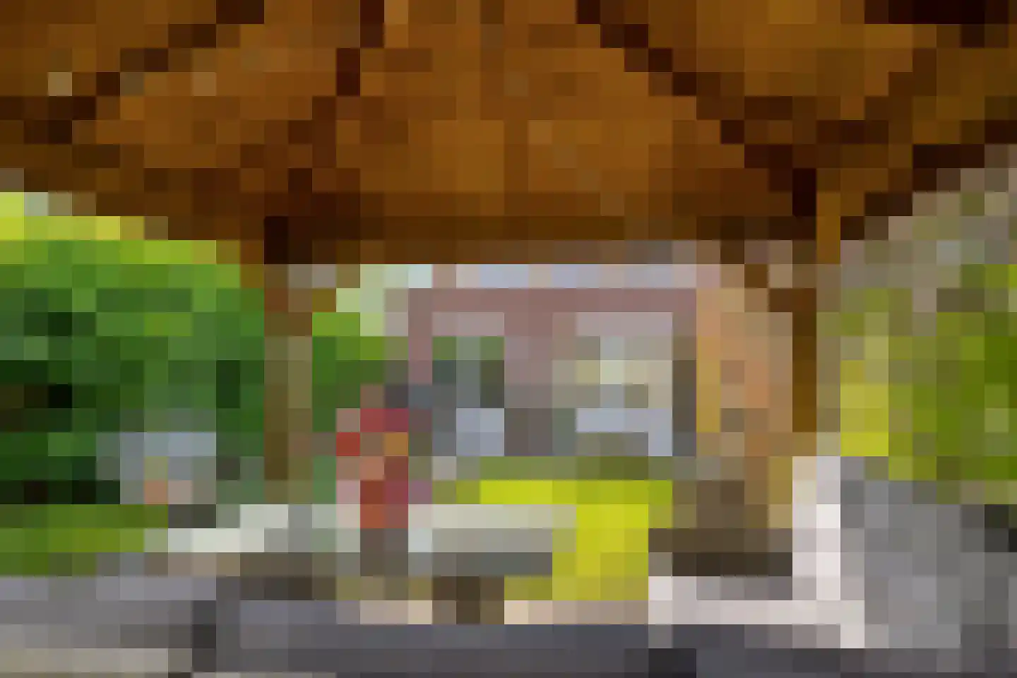Halewijnstraat 34 Etten-Leur thumbnail 34